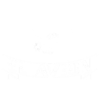 El Avión